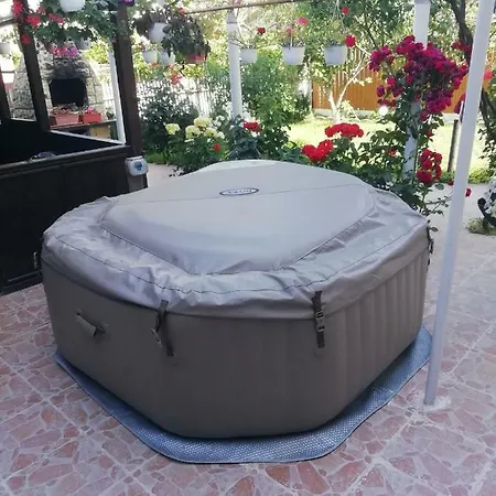 Gazde/Camere de închiriat Vila Georgiana